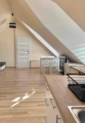 Makow Podhalanski Apartamento | Apartament Borowik