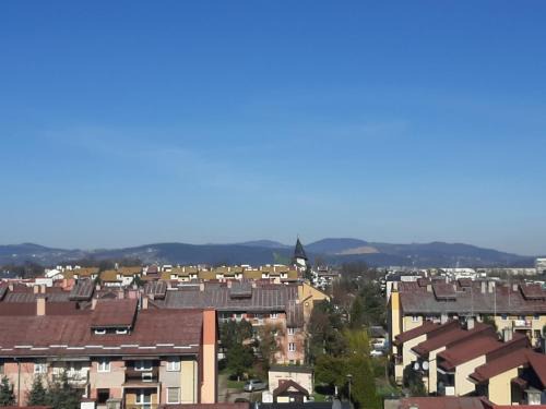 Nowy Sacz Apartamento | Apartament Browarna