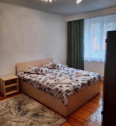 Lupeni Apartamento | Apartament Central