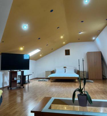 Timisoara Apartamento | Apartament central Timisoara