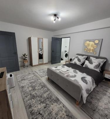 Zalau Apartamento | Apartament cu 1 camera -ANA
