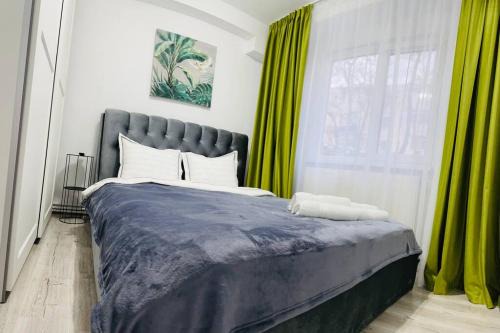 Braila Apartamento | Apartament Dany