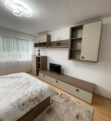 Orsova Apartamento | Apartament Denisa