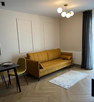 Kielce Apartamento | APARTAMENT DISCReeT SLeeP iN CITY CENTER PARKING GARAŻ KOZIA KIELCE
