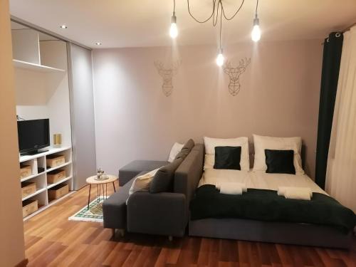 Zabrze Apartamento | Apartament Gagarina 31