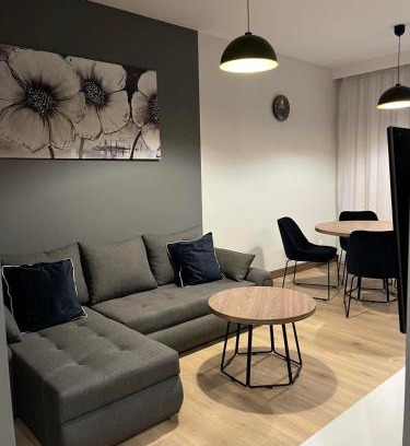 Pleszew Apartamento | Apartament HALLERA