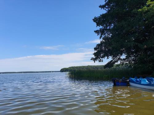 Kierwik Apartamento | Apartament Karwica Zapach Lasu Naturalne SPA, sauna, joga A02