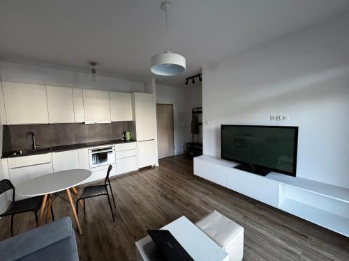 Siedlce Apartamento | Apartament Morenova