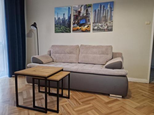 Sanok Apartamento | Apartament na Błoniach