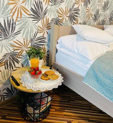 Pszczyna Apartamento | Apartament na Starówce VI