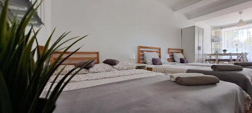 Zator Apartamento | Apartament Na Szkolnej