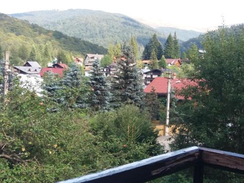 Busteni Apartamento | Apartament Potecuta Ursului