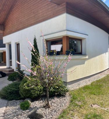 Wronki Apartamento | Apartament przy lesie
