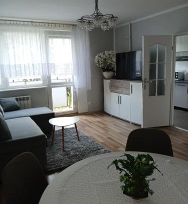 Elblag Apartamento | Apartament przy parku