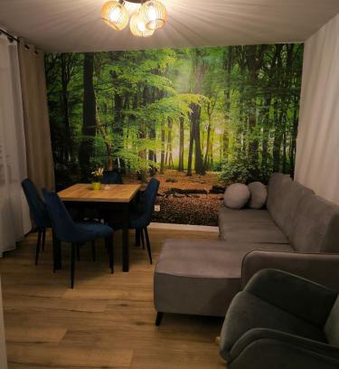 Radkow Apartamento | Apartament Przy Rynku w Radkowie