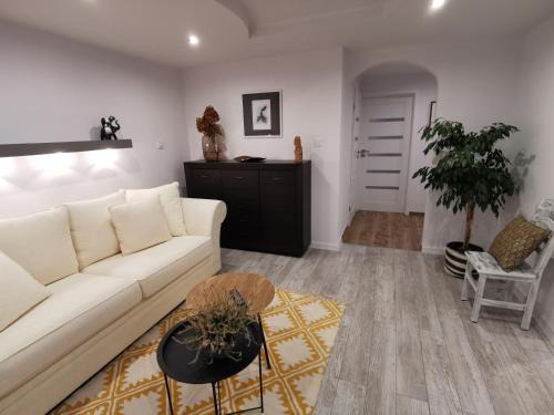 Sanok Apartamento | Apartament Sobieski