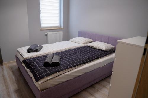 Inowroclaw Cama Y Desayuno | Apartament Solankowa Przestrzeń Inowrocław