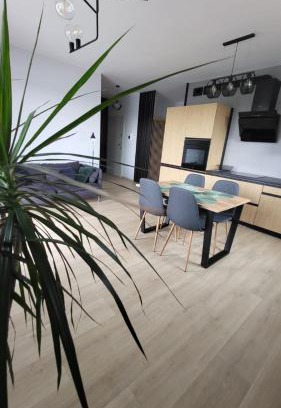Pruszcz Gdanski Apartamento | Apartament SOLO