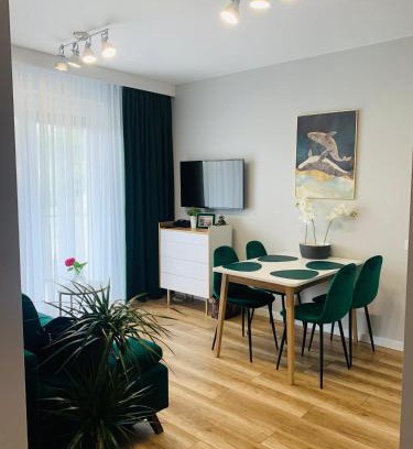 Gorzow Wielkopolski Apartamento | Apartament Stemar z dyżym baloknem
