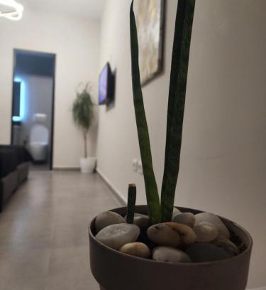 Tirana Apartamento | Apartament Tirana Contact
