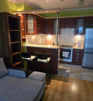 Sanok Apartamento | Apartament u Mani