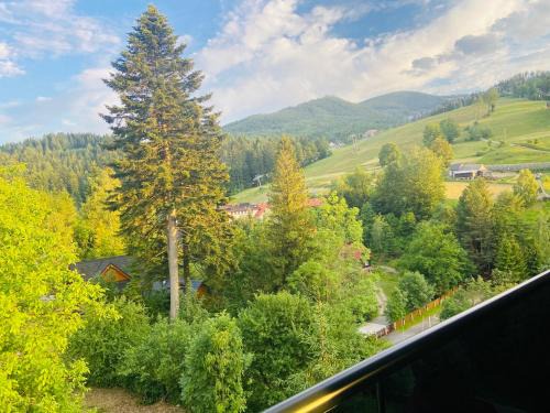 Jelesnia Apartamento | Apartament Widoknastok