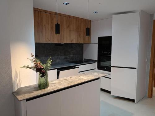 Alhama de Murcia Apartamento | Apartamento 2 Dormitorios En el Centro