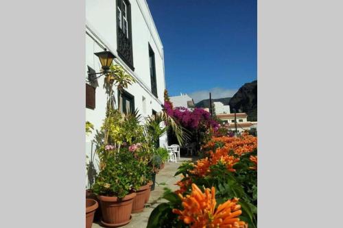 La Calera Apartamento | Apartamento Askanova