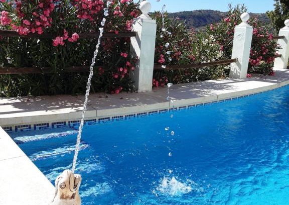 Coin Apartamento | Apartamento bella vista