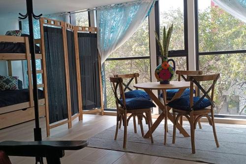 Roma Sur Casa | Apartamento en la Roma Sur, céntrico, bellísimo.