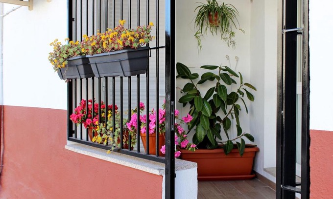 Los Pinos Apartamento | Apartamento turístico la Vera