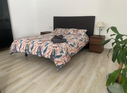 Algodonales Apartamento | Apartamento Loft