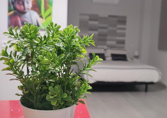 Fuencarral Apartamento | Apartamento Madrid Norte