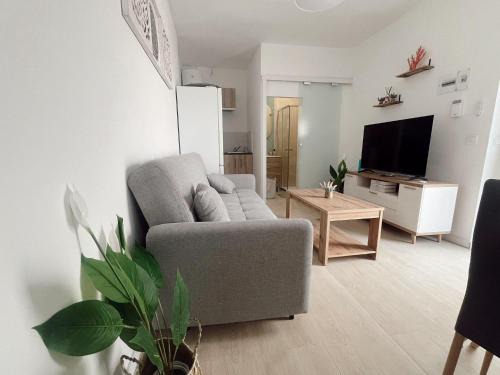 Rota Apartamento | Apartamento patio Andaluz
