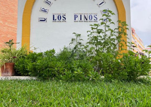 El Portil Apartamento | Apartamento Portisol