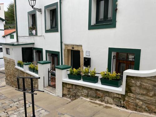 Algorta Apartamento | Apartamento Tatoena, Puerto Viejo