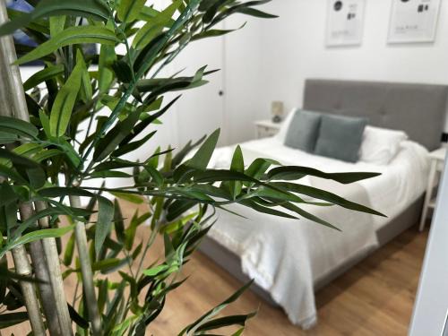 San Bernardo Apartamento | Apartamentos Alimarc Urban