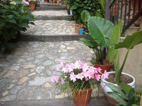 Mogarraz Apartamento | Apartamentos Anateresa
