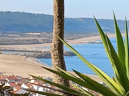 Nazare Apartamento | Apartamentos Bela Vista