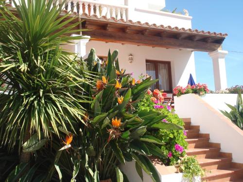 Playa de Es Figueral Apartamento | Apartamentos Ferrer