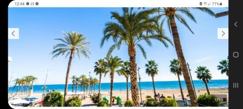Centro histórico Apartamento | Apartamentos Gali playa 2 San pedro 10