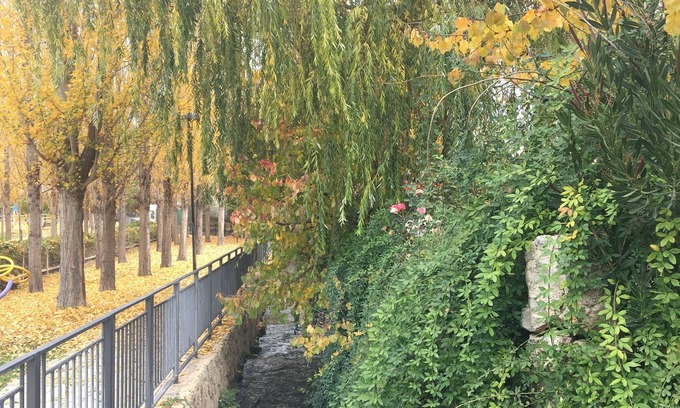 Arbuniel Apartamento | APARTAMENTOS RURALES LABRADOR,Reuniones familia y amigos.Grupos.Hasta 45personas