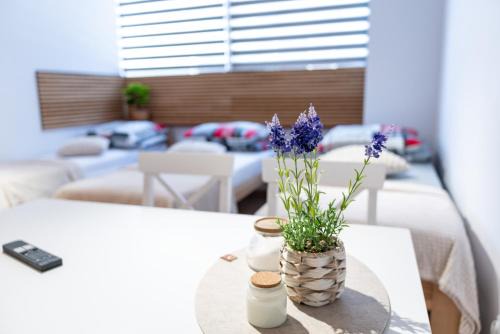 Boguszow-Gorce Apartamento | Apartamenty 592 2
