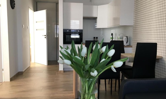 Czestochowa Apartamento | Apartamenty AP 8