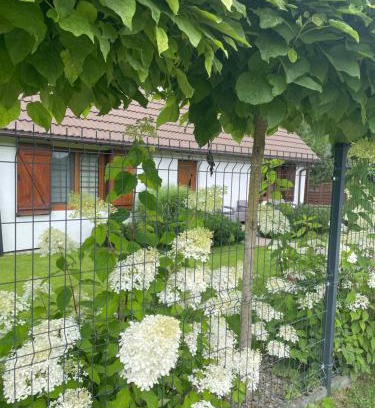 Sierakow Apartamento | Apartamenty Buczyna w Sierakowie