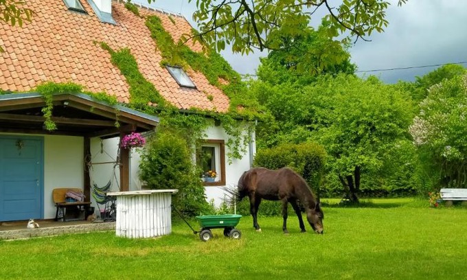 Mlynary Apartamento | Apartamenty na wsi Horses&Relax