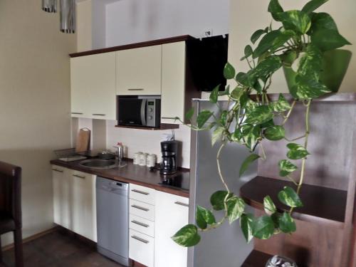 Mokotow Apartamento | Apartamenty Silver Premium
