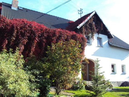 Zachelmie Casa | Apartamenty - Stara Stajnia - Na krańcu Świata
