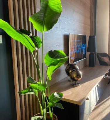 Uniejow Apartamento | Apartamenty Termalne GREEN Apartment
