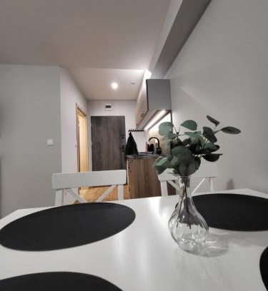 Bystrzyca Kłodzka Apartamento | ApartHotel10